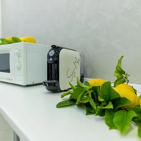 Teddu Bed and breakfast