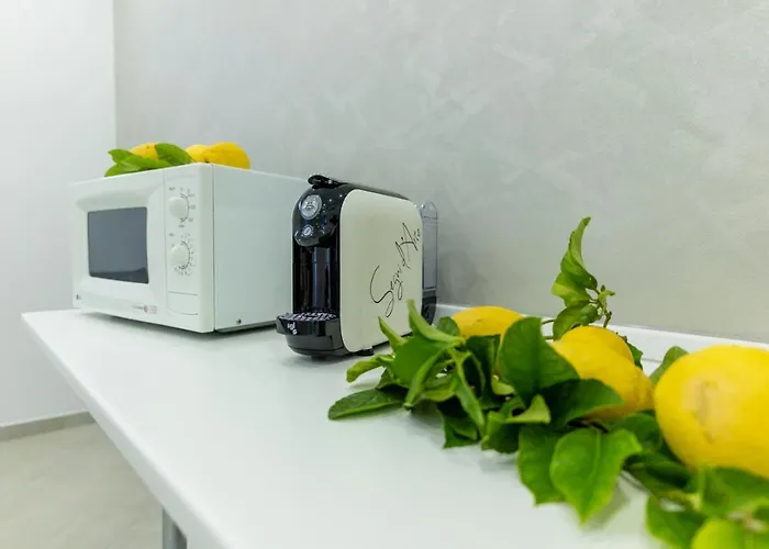 Teddu Bed & Breakfast